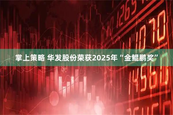 掌上策略 华发股份荣获2025年“金鲲鹏奖”
