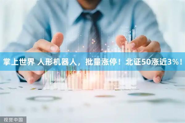 掌上世界 人形机器人，批量涨停！北证50涨近3%！