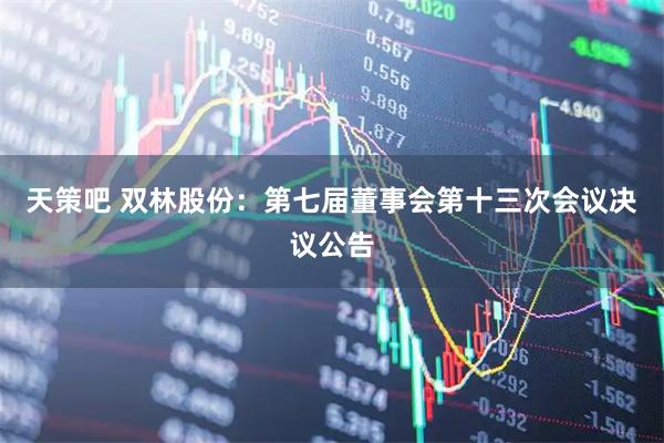 天策吧 双林股份：第七届董事会第十三次会议决议公告