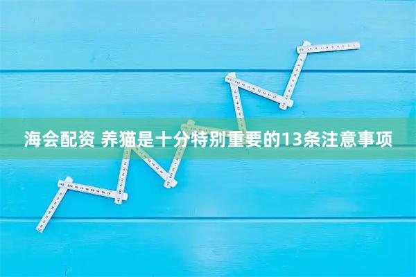 海会配资 养猫是十分特别重要的13条注意事项