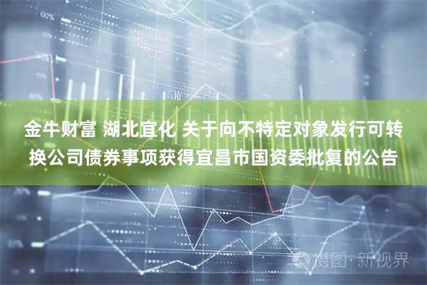 金牛财富 湖北宜化 关于向不特定对象发行可转换公司债券事项获得宜昌市国资委批复的公告